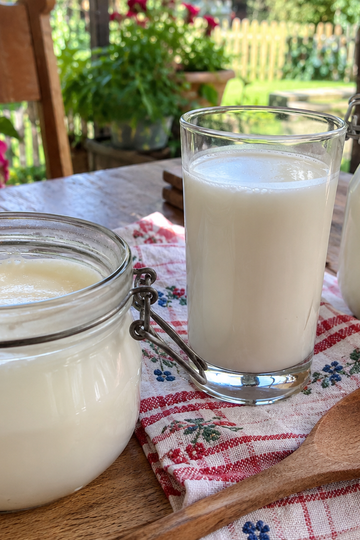 homemade yogurt, how to make yogurt, ayran, Balkan breakfast, 2 ingredient recipe, fermented foods